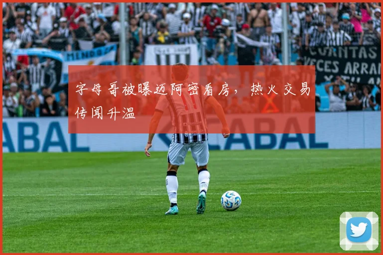 字母哥被曝迈阿密看房，热火交易传闻升温
